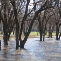 Flooding